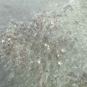 Meet your Posher, Mckayla